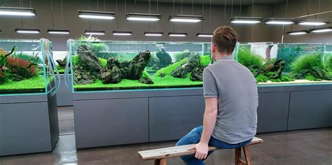 ada aquascape|AQUA DESIGN AMANO JAPAN .